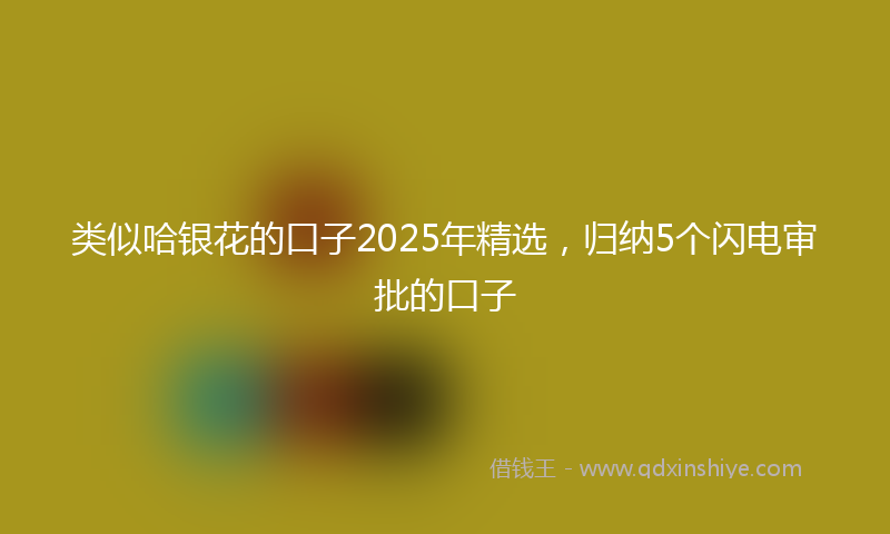 类似哈银花的口子2025年精选，归纳5个闪电审批的口子