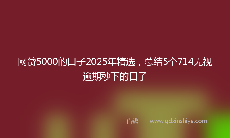 网贷5000的口子2025年精选，总结5个714无视逾期秒下的口子