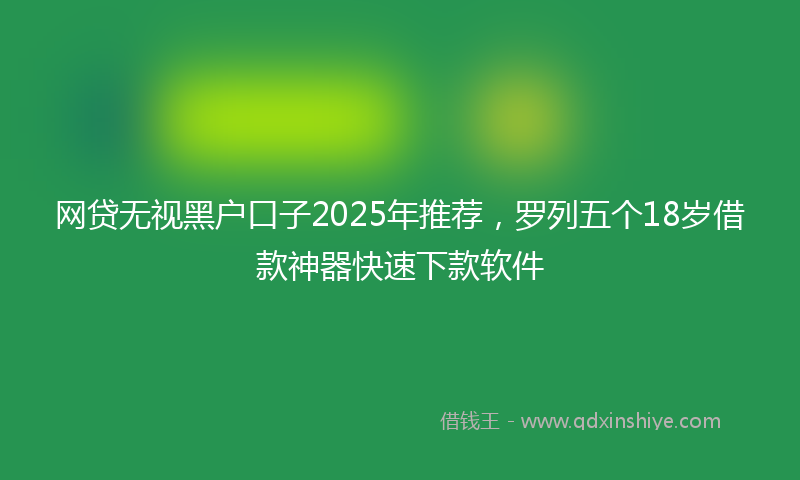 网贷无视黑户口子2025年推荐，罗列五个18岁借款神器快速下款软件
