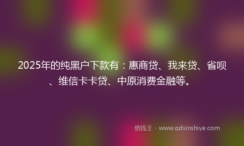 2025年的纯黑户下款有：惠商贷、我来贷、省呗、维信卡卡贷、中原消费金融等。