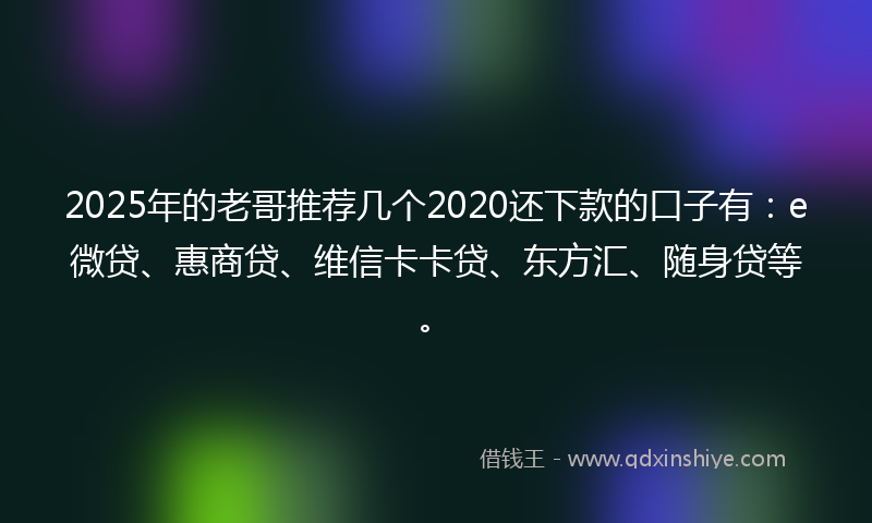 2025年的老哥推荐几个2020还下款的口子有：e微贷、惠商贷、维信卡卡贷、东方汇、随身贷等。