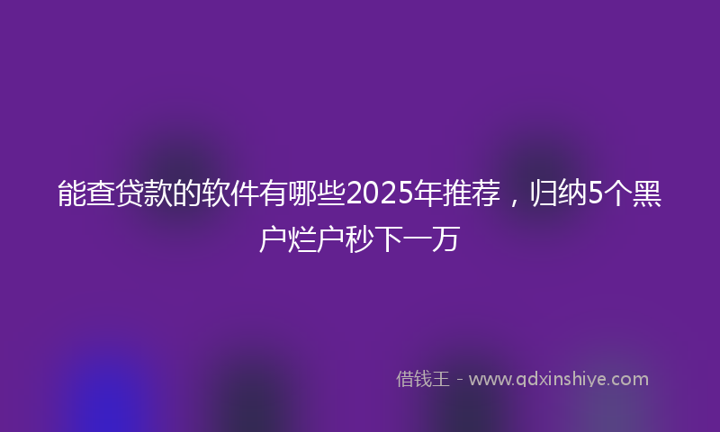 能查贷款的软件有哪些2025年推荐，归纳5个黑户烂户秒下一万