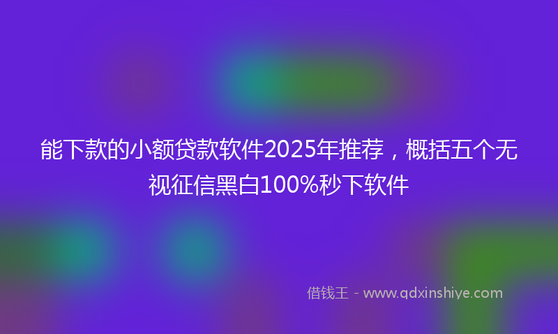 能下款的小额贷款软件2025年推荐，概括五个无视征信黑白100%秒下软件