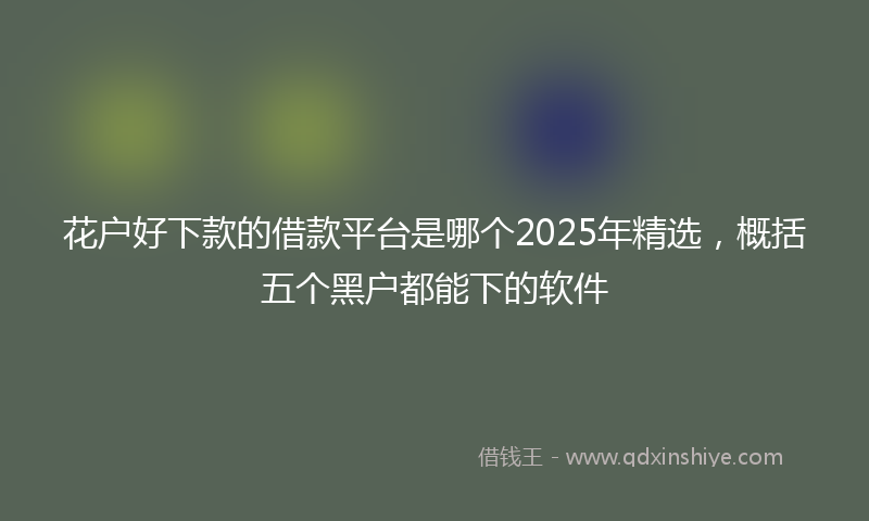 花户好下款的借款平台是哪个2025年精选，概括五个黑户都能下的软件