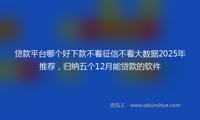 贷款平台哪个好下款不看征信不看大数据2025年推荐，归纳五个12月能贷款的软件