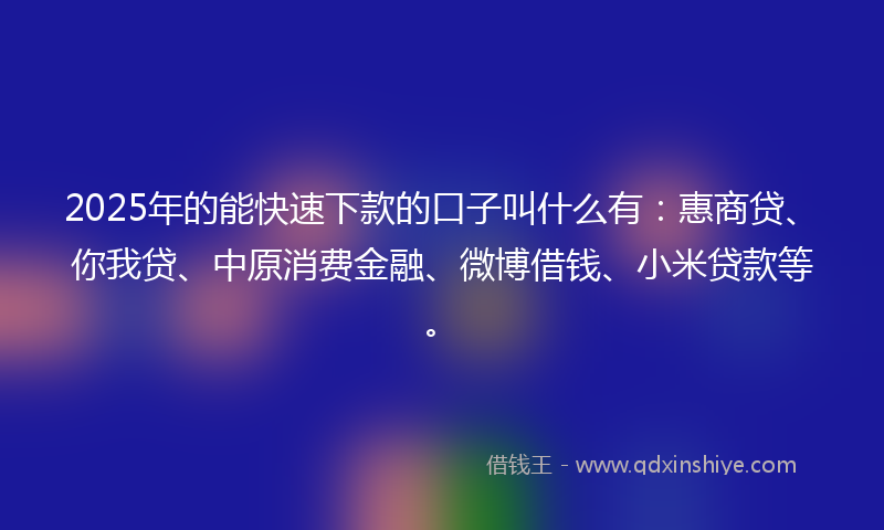 2025年的能快速下款的口子叫什么有：惠商贷、你我贷、中原消费金融、微博借钱、小米贷款等。