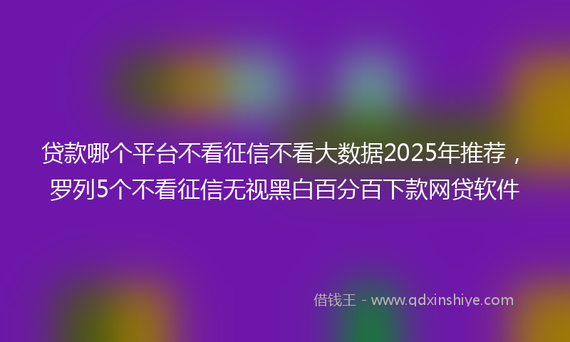 贷款哪个平台不看征信不看大数据2025年推荐，罗列5个不看征信无视黑白百分百下款网贷软件