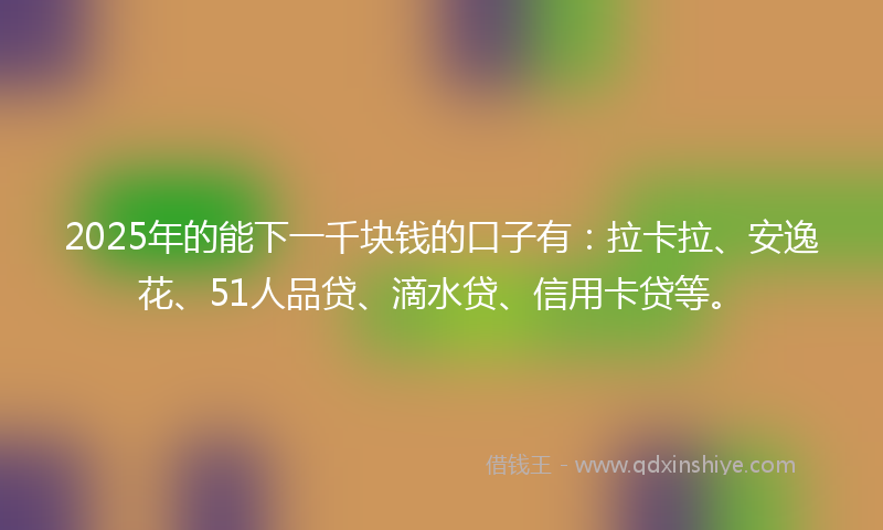 2025年的能下一千块钱的口子有：拉卡拉、安逸花、51人品贷、滴水贷、信用卡贷等。