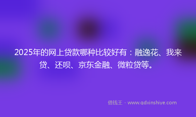 2025年的网上贷款哪种比较好有：融逸花、我来贷、还呗、京东金融、微粒贷等。