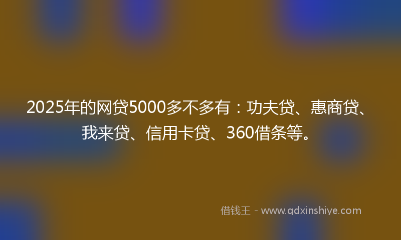 2025年的网贷5000多不多有：功夫贷、惠商贷、我来贷、信用卡贷、360借条等。
