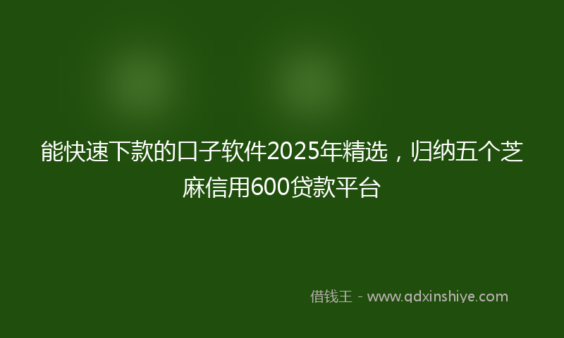 能快速下款的口子软件2025年精选，归纳五个芝麻信用600贷款平台