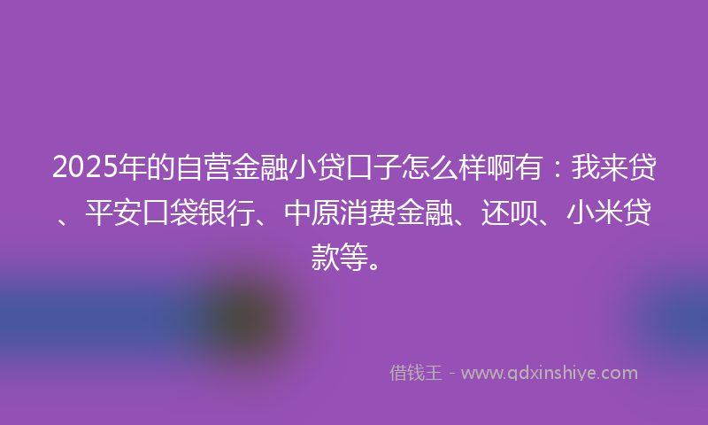 2025年的自营金融小贷口子怎么样啊有：我来贷、平安口袋银行、中原消费金融、还呗、小米贷款等。