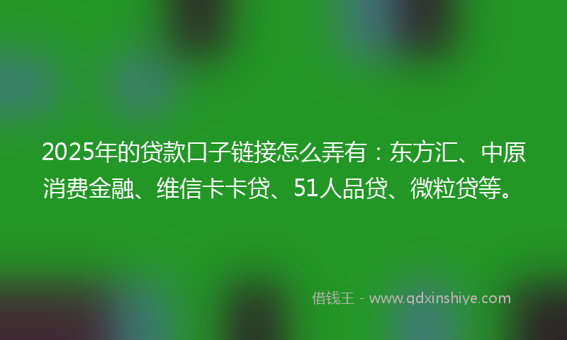 2025年的贷款口子链接怎么弄有：东方汇、中原消费金融、维信卡卡贷、51人品贷、微粒贷等。