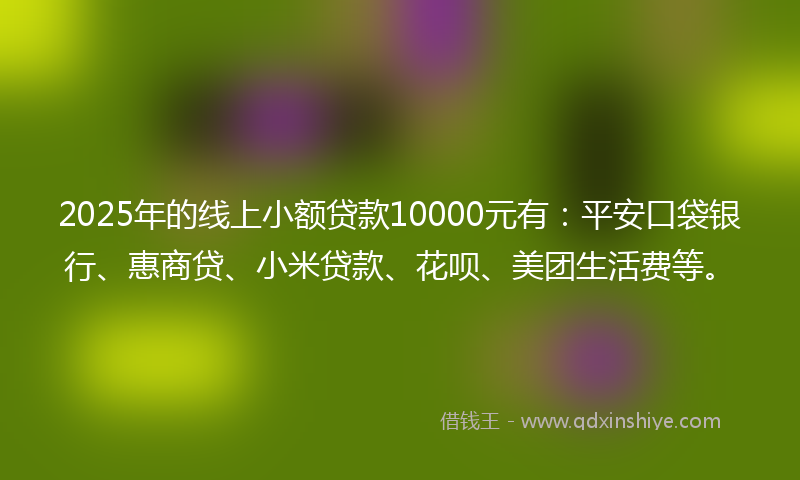 2025年的线上小额贷款10000元有：平安口袋银行、惠商贷、小米贷款、花呗、美团生活费等。