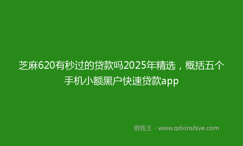 芝麻620有秒过的贷款吗2025年精选，概括五个手机小额黑户快速贷款app