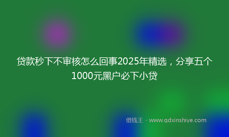 贷款秒下不审核怎么回事2025年精选，分享五个1000元黑户必下小贷