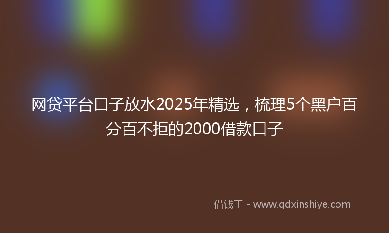 网贷平台口子放水2025年精选，梳理5个黑户百分百不拒的2000借款口子