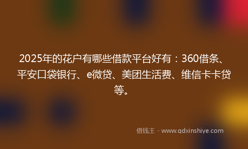 2025年的花户有哪些借款平台好有：360借条、平安口袋银行、e微贷、美团生活费、维信卡卡贷等。