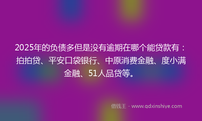 2025年的负债多但是没有逾期在哪个能贷款有：拍拍贷、平安口袋银行、中原消费金融、度小满金融、51人品贷等。