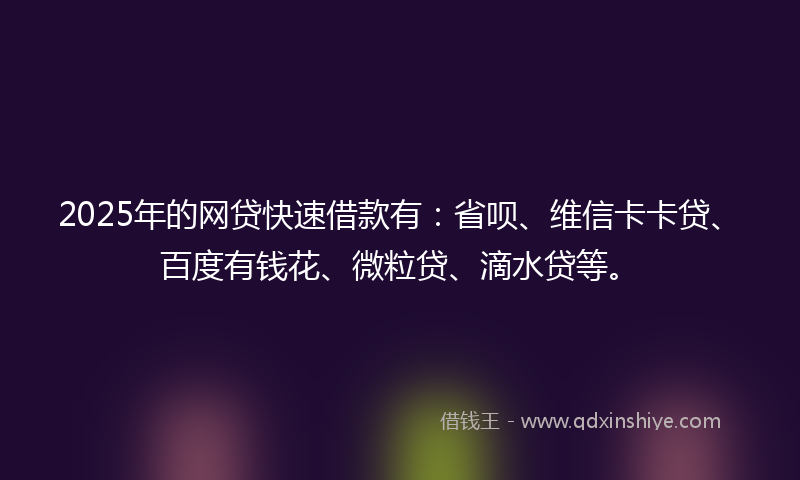 2025年的网贷快速借款有：省呗、维信卡卡贷、百度有钱花、微粒贷、滴水贷等。