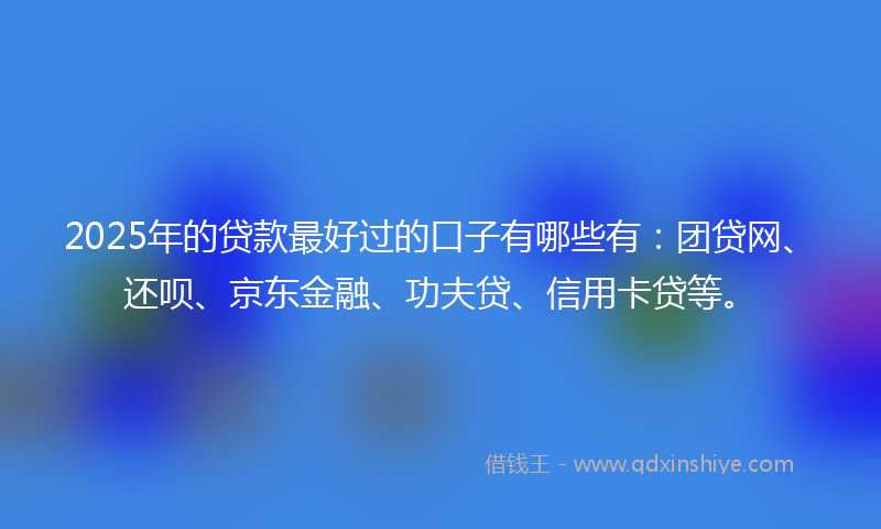 2025年的贷款最好过的口子有哪些有：团贷网、还呗、京东金融、功夫贷、信用卡贷等。
