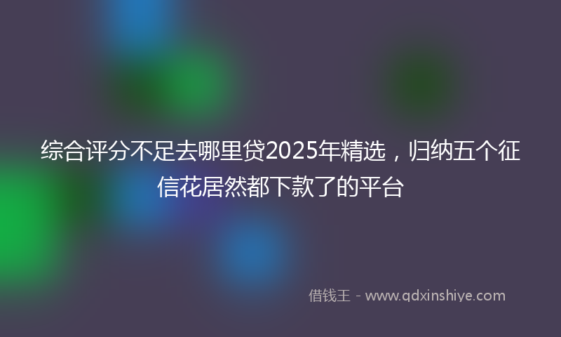 综合评分不足去哪里贷2025年精选，归纳五个征信花居然都下款了的平台