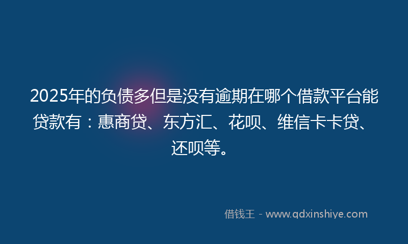 2025年的负债多但是没有逾期在哪个借款平台能贷款有：惠商贷、东方汇、花呗、维信卡卡贷、还呗等。