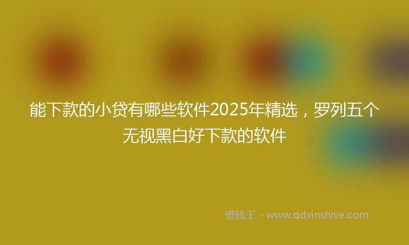 能下款的小贷有哪些软件2025年精选，罗列五个无视黑白好下款的软件