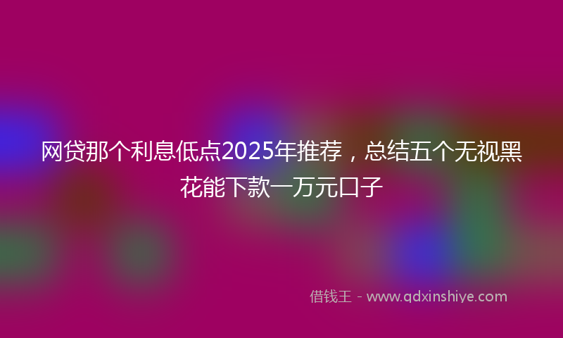 网贷那个利息低点2025年推荐，总结五个无视黑花能下款一万元口子