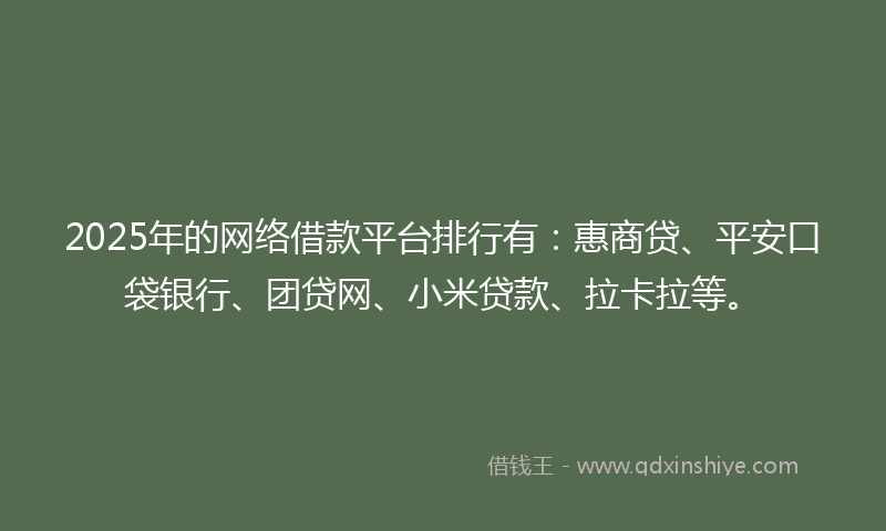 2025年的网络借款平台排行有：惠商贷、平安口袋银行、团贷网、小米贷款、拉卡拉等。