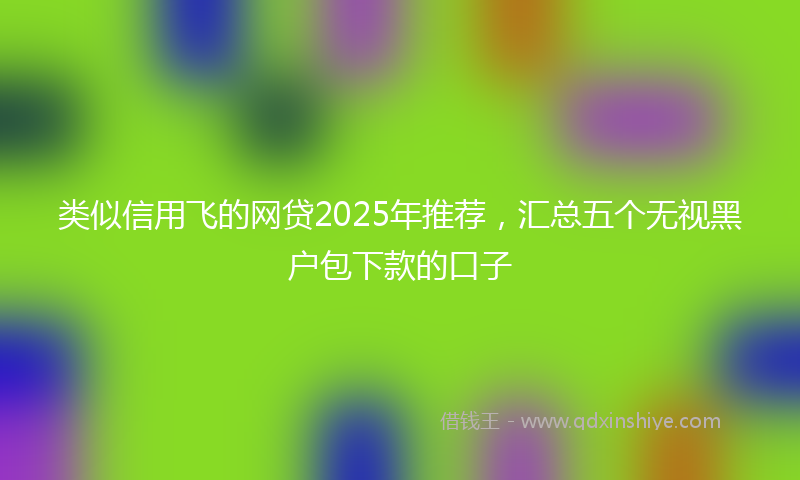 类似信用飞的网贷2025年推荐，汇总五个无视黑户包下款的口子