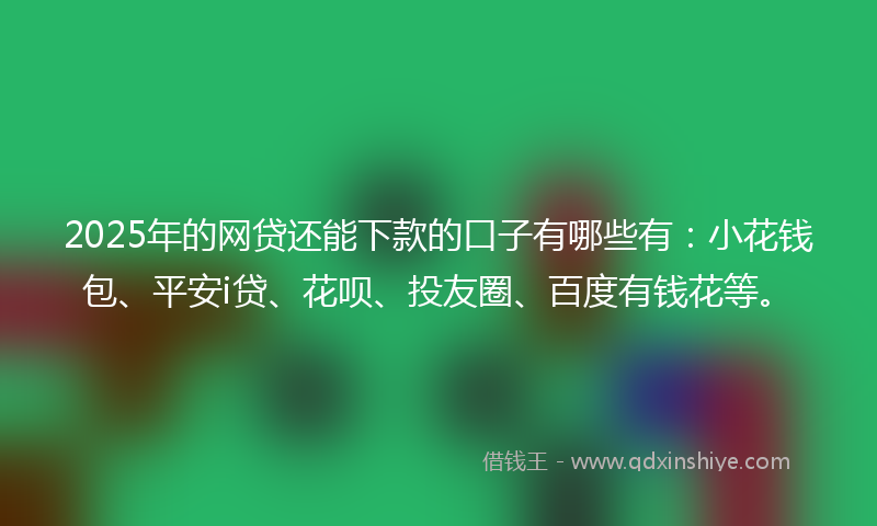 2025年的网贷还能下款的口子有哪些有：小花钱包、平安i贷、花呗、投友圈、百度有钱花等。