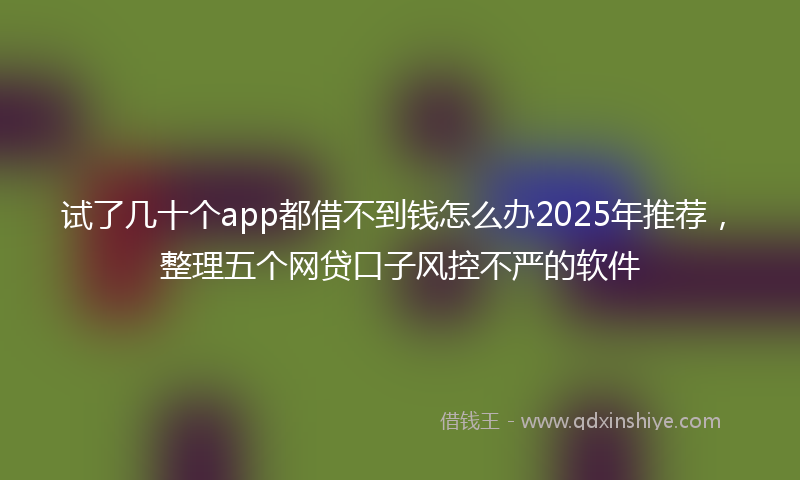 试了几十个app都借不到钱怎么办2025年推荐，整理五个网贷口子风控不严的软件