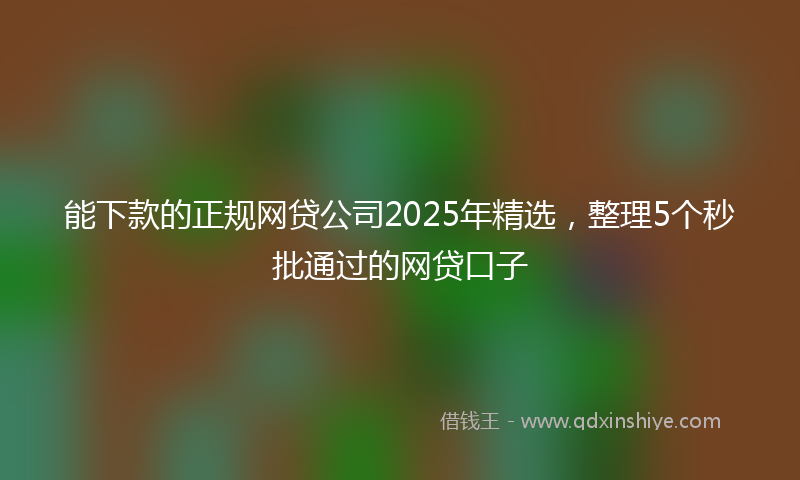 能下款的正规网贷公司2025年精选，整理5个秒批通过的网贷口子