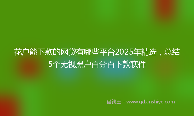 花户能下款的网贷有哪些平台2025年精选，总结5个无视黑户百分百下款软件