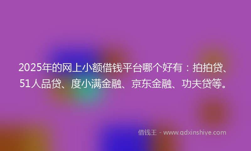 2025年的网上小额借钱平台哪个好有：拍拍贷、51人品贷、度小满金融、京东金融、功夫贷等。