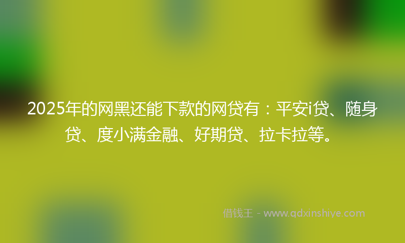2025年的网黑还能下款的网贷有：平安i贷、随身贷、度小满金融、好期贷、拉卡拉等。