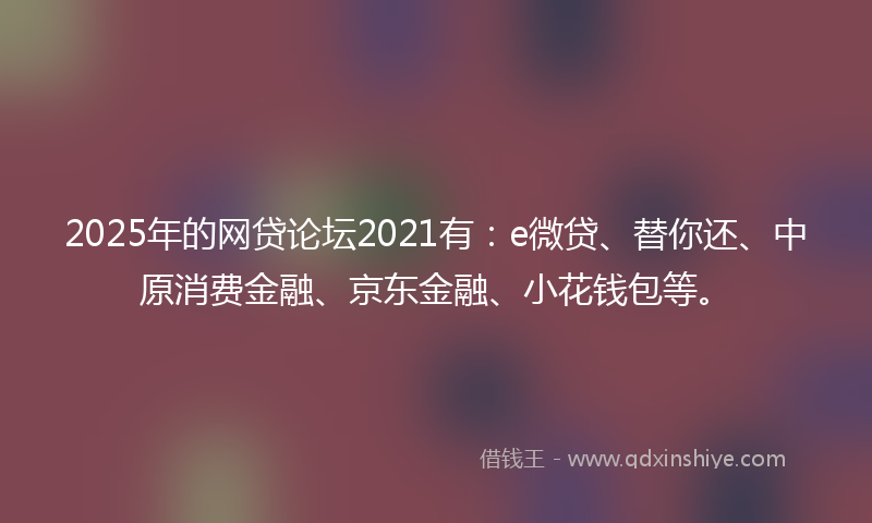 2025年的网贷论坛2021有：e微贷、替你还、中原消费金融、京东金融、小花钱包等。