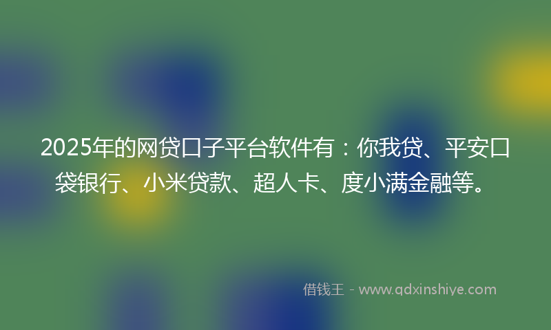 2025年的网贷口子平台软件有：你我贷、平安口袋银行、小米贷款、超人卡、度小满金融等。