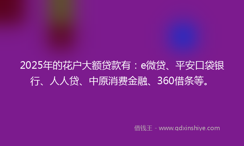 2025年的花户大额贷款有：e微贷、平安口袋银行、人人贷、中原消费金融、360借条等。