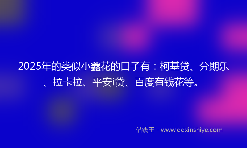 2025年的类似小鑫花的口子有：柯基贷、分期乐、拉卡拉、平安i贷、百度有钱花等。