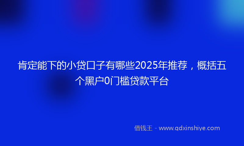 肯定能下的小贷口子有哪些2025年推荐，概括五个黑户0门槛贷款平台