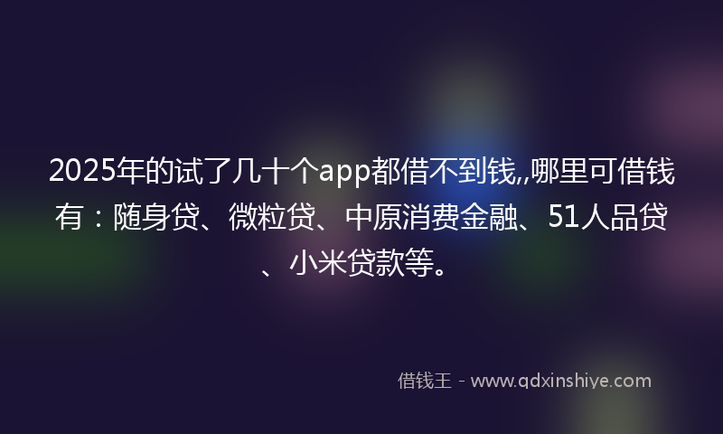 2025年的试了几十个app都借不到钱,,哪里可借钱有：随身贷、微粒贷、中原消费金融、51人品贷、小米贷款等。
