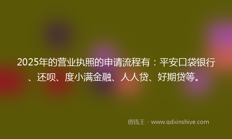 2025年的营业执照的申请流程有：平安口袋银行、还呗、度小满金融、人人贷、好期贷等。
