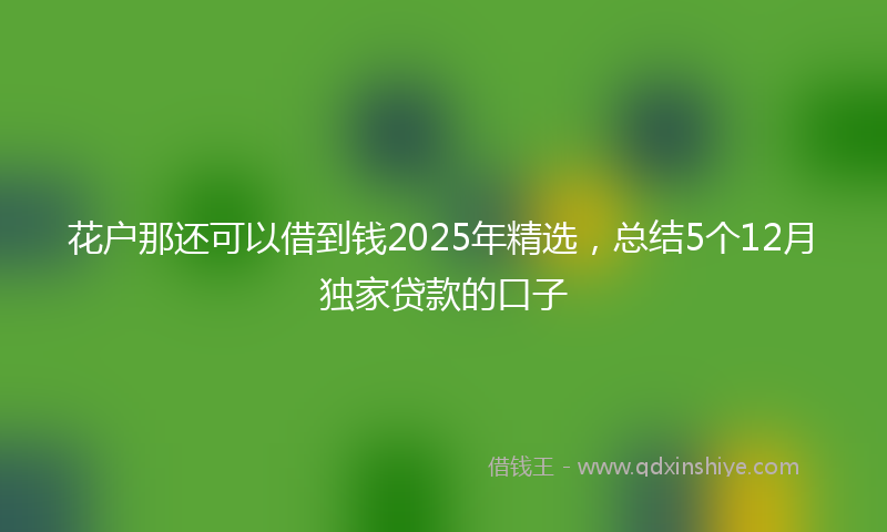 花户那还可以借到钱2025年精选，总结5个12月独家贷款的口子
