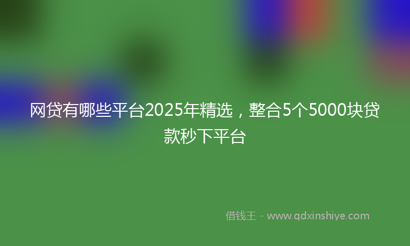 网贷有哪些平台2025年精选，整合5个5000块贷款秒下平台