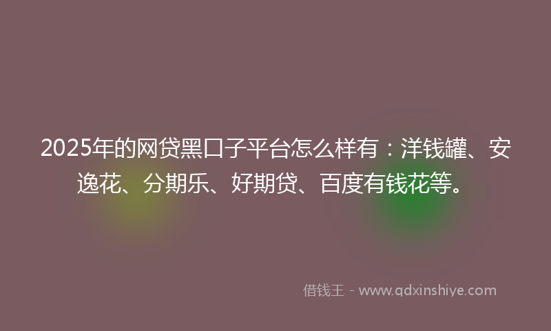 2025年的网贷黑口子平台怎么样有：洋钱罐、安逸花、分期乐、好期贷、百度有钱花等。