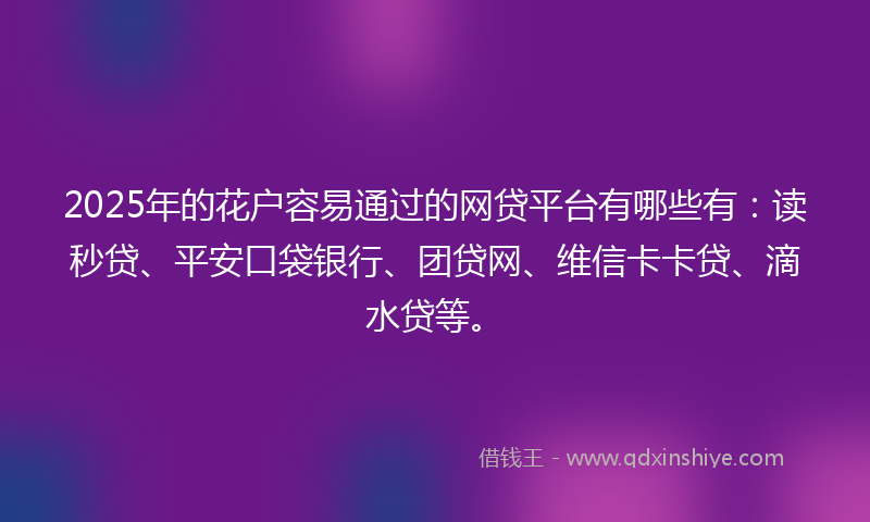 2025年的花户容易通过的网贷平台有哪些有：读秒贷、平安口袋银行、团贷网、维信卡卡贷、滴水贷等。
