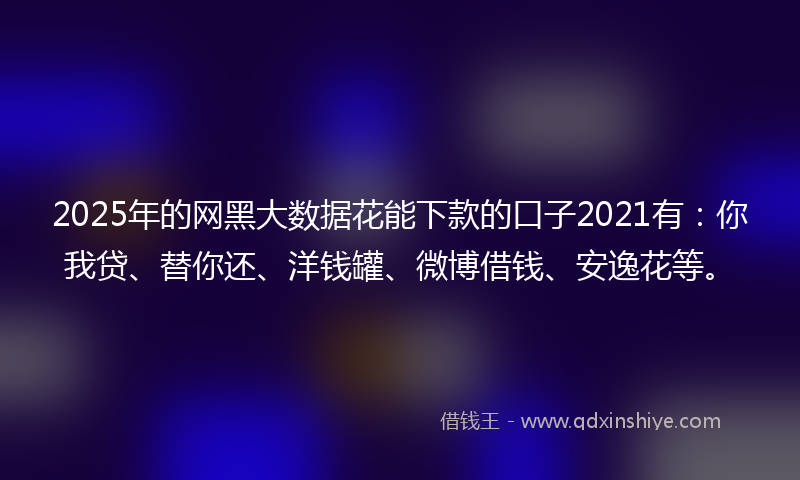 2025年的网黑大数据花能下款的口子2021有：你我贷、替你还、洋钱罐、微博借钱、安逸花等。