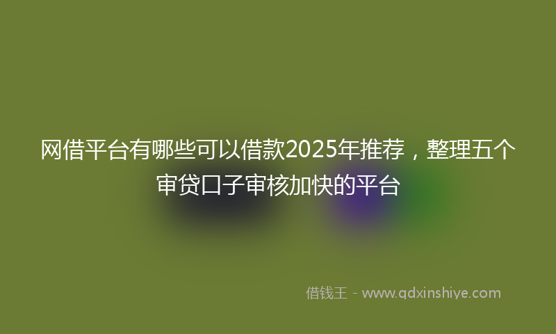 网借平台有哪些可以借款2025年推荐，整理五个审贷口子审核加快的平台